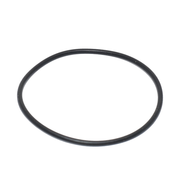 02-3119 - O-Ring